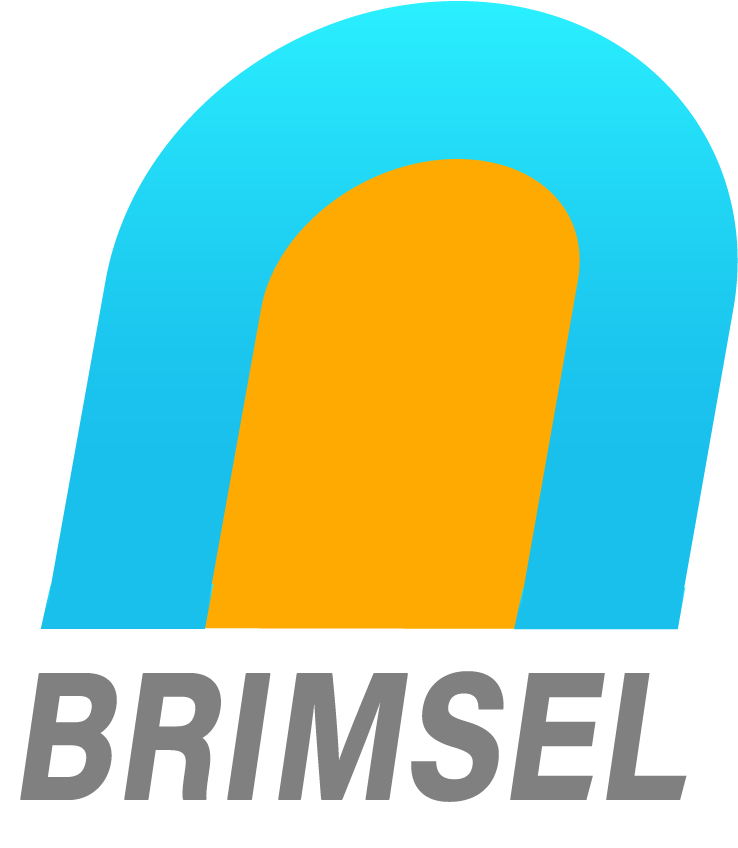BRIMSEL AI